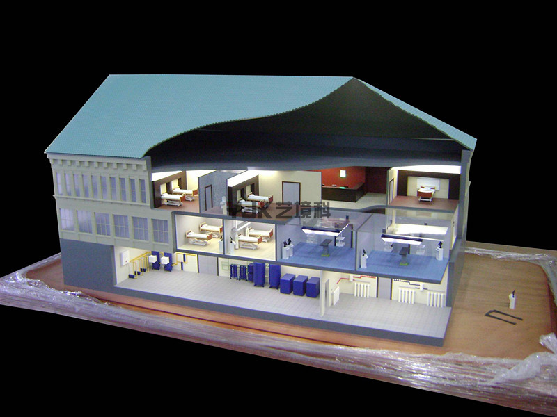 醫(yī)療解剖模型